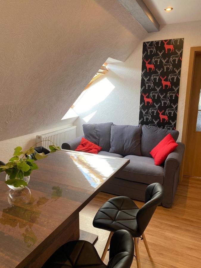 Zielone Walizki Apartment *